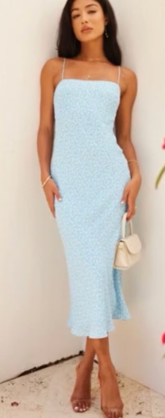 Resa Blue & White Floral Spaghetti Strap Maxi Dress Large